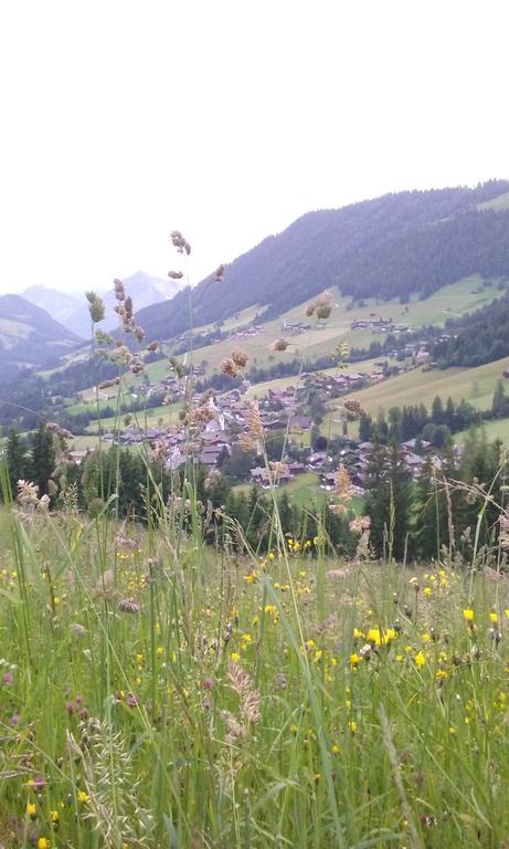 Anna'S Appartement Alpbach Exterior foto